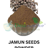 DESI NUSHKE Jamun Seeds Powder | 250 GM | Java Plum | Eugenia Jambolana | Blackberry Seeds Powder | Jamun Guthli Powder | 8.81 Oz