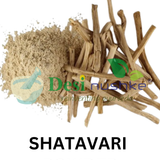 DESI NUSHKE Shatavari Powder | 200 GM | Asparagus Racemosus | Tian Men Dong | 100% Organic Shatavari Powder | 7.05 Oz