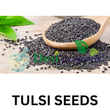DESI NUSHKE Tulsi Seeds | 400 GM | Holy Basil Seeds | Farm fresh seeds | Rich in Antioxidants | Helps in Weight loss | 14.10 Oz